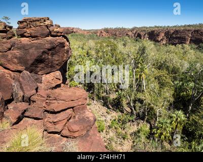 Gorge inférieure de Lawn Hill depuis Island Stack, parc national de Boodjamulla, Queensland Banque D'Images