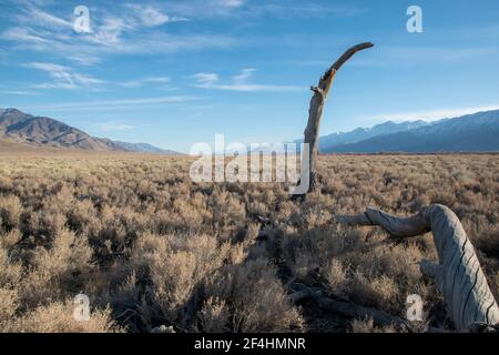 Owens Valley dans le comté d'Inyo est un endroit isolé et isolé dans la Sierra orientale de la Californie, mais il est beau. Banque D'Images