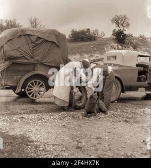 Les cueilleurs de pois migrants sur la route. Californie. Février 1936. Photo de Dorothea Lange. Banque D'Images