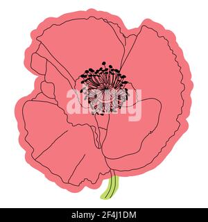 Fleur de pavot, bouton, croquis et imitation aquarelle. Illustration de Vecteur