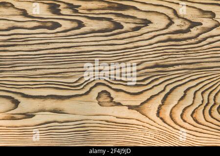 Surface en bois clair avec des motifs noirs naturels texture arrière-plan en bois. Banque D'Images