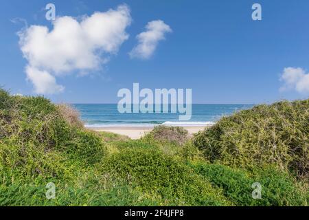 Dunes couvertes d'herbe verte sur le fond du mer et ciel avec nuage Banque D'Images