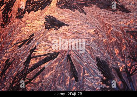 Hiver neige givrée motifs sur la fenêtre en verre. La magie de l'hiver. Des merveilles glacial. Motifs abstraits. Banque D'Images