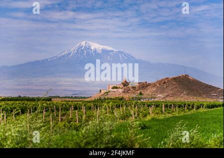 Khor Virap, Arménie - Lujy 5, 2018 : le monastère Khor Virap et le mont biblique Ararat en Arménie Banque D'Images