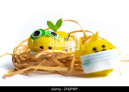 Bébé jouet poulet portant un masque chirurgical sur fond blanc avec espace de copie. Pandémie Covid-19 et célébration des fêtes avec le coronavirus résumé Banque D'Images