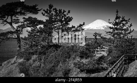 Montez les sommets du Mont Fuji à travers une vue obstruée par des arbres sur la péninsule de Miura au Japon. Banque D'Images