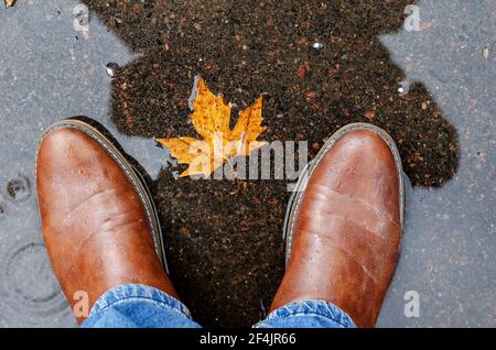 Pieds d'un homme portant des bottes en cuir debout dans une flaque d'eau avec congé d'érable. Un homme en bottes brunes et jeans bleus. Une petite feuille tombée flotte i Banque D'Images