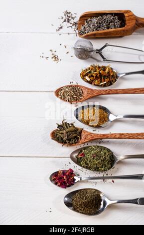 Différentes herbes de thé sur une table en bois blanc, joliment agencées sur différentes cuillères Banque D'Images