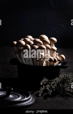 Groupe de champignons shimeji bruns dans un pot en fonte noire décoration au thym Banque D'Images