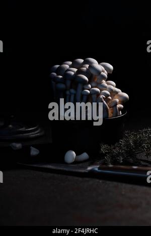 Groupe de champignons shimeji blancs dans une casserole en fonte noire décorée de thym, d'ail et d'un couteau au premier plan Banque D'Images