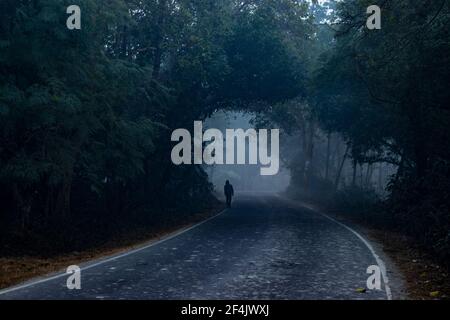 Homme marchant sur la route, nuit sombre effrayante dans la forêt Banque D'Images