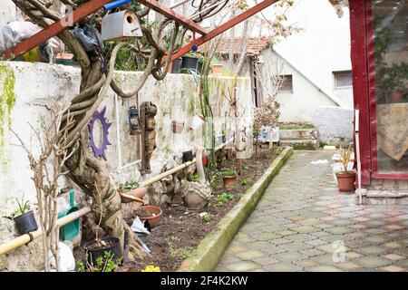 La vieille maison rose est dans les derniers jours de l'hiver. Les arbres sont encore secs. Avec deux étages et un jardin. Banque D'Images