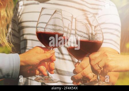 Famille de différents âges les gens célèbrent joyeusement l'extérieur avec des lunettes de vin rouge Banque D'Images