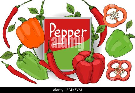 Ensemble vectoriel avec poivron rouge, vert et orange. Poivre frais isolé, paprika, piment aux tiges, feuilles, graines Illustration de Vecteur
