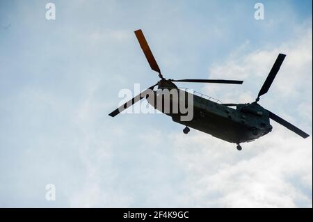 Gilze-Rijen, pays-Bas. Un broyeur de transport Chinook survolant des parties de la piste de l'Airbase en route vers une mission. Banque D'Images