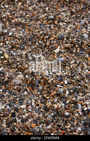 gros plan de petites roches grises et brunes au plage Banque D'Images