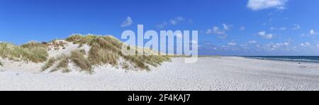 Géographie / Voyage, Danemark, Nordjuetland, Grenen, dunes au cap Grenen de la pointe nord Jutlan, droits-supplémentaires-autorisation-Info-non-disponible Banque D'Images