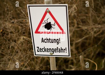 Signe d'avertissement « Achtung Zeckengefahr! » En Allemagne. Traduction: Attention! Attention aux tiques ! Banque D'Images