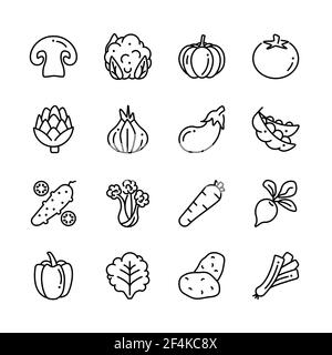 Illustrations de produits biologiques Veggies. Végétarien, légumes contiennent des pommes de terre, champignons, tomate, chou contour icônes collection. Illustration de Vecteur