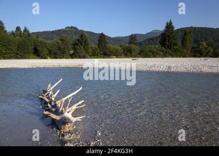 Géographie / Voyage, Allemagne, Bavière, Wallgau, bois flotté dans l'Isar, Wallgau, Haut-Bavari, droits-supplémentaires-autorisation-Info-non-disponible Banque D'Images