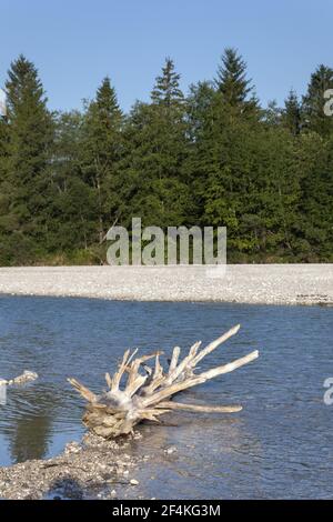 Géographie / Voyage, Allemagne, Bavière, Wallgau, bois flotté dans l'Isar, Wallgau, Haut-Bavari, droits-supplémentaires-autorisation-Info-non-disponible Banque D'Images