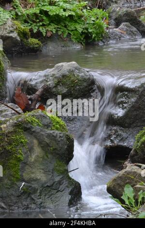 Eau courante le long D'un ruisseau dans UN parc boisé - Mousse sur pierres - petite chute d'eau - rivière avec écoulement d'eau - Sussex Royaume-Uni Banque D'Images