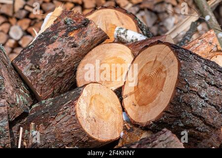 Pile ou pile composée de blocs, morceaux ou billes de bois en hiver ou au printemps. Empiler le bois pour le séchage et le stockage, gros plan Banque D'Images