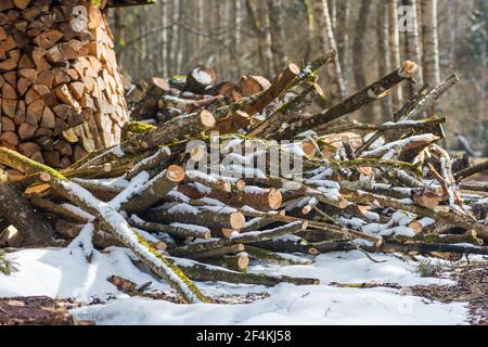 Pile ou pile composée de blocs, morceaux ou billes de bois en hiver ou au printemps avec de la neige. Gerbage de bois pour le séchage et le stockage Banque D'Images