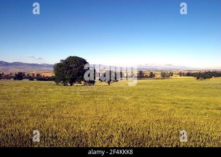 ESPAGNE - la Bureba (quartier) - Castille et Leon - BURGOS. La Bureba; paisaje mesetario entre Briviesca y Poza de la Sal Banque D'Images