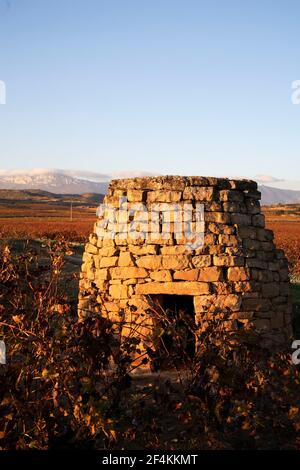 ESPAGNE - Rioja alavesa (district) - PAYS BASQUE - ALAVA. Lapuebla de Labarca; 'chozo' en viñedo Banque D'Images