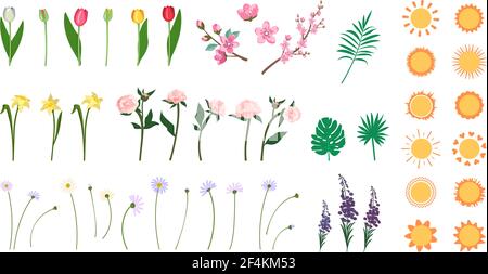 Ensemble de fleurs, feuilles et icône de soleil Illustration de Vecteur