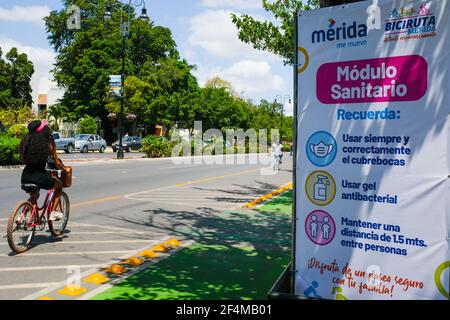 Après de nombreux mois de fermeture en raison de la pandémie, la ville de Merida au Mexique a repris ses populaires « dimanches cyclistes » sur la célèbre avenue Paseo de Montejo. L'événement a été réorganisé et respecte les mesures d'hygiène de protection Covid-19 Banque D'Images