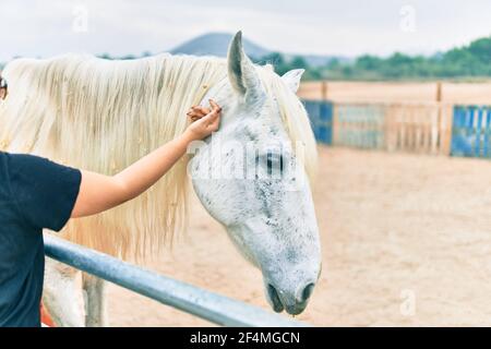 Main de la femme touchant un adorable cheval à la ferme. Banque D'Images