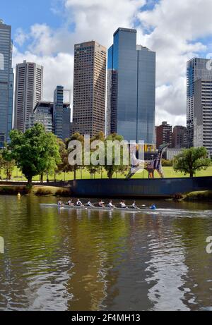 Melbourne, Victoria, Australie - 04 novembre 2017 : des personnes non identifiées par un entraînement en bateau à ramer sur la Yarra avec sculpture nommée Angel et bâtiments Banque D'Images