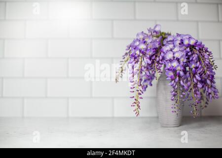 Une wisteria violet fraîchement cueillie dans un vase gris d'un jardin au printemps. Banque D'Images