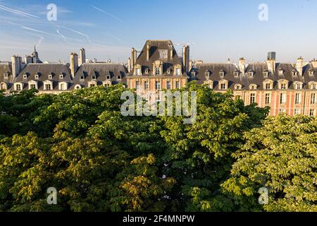 Arbres verdoyants en face de la place des Vosges à Paris, France Banque D'Images