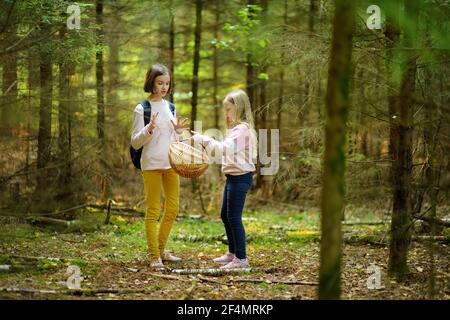 Deux jolies jeunes sœurs s'amusant pendant les feux de randonnée pédestre sur la magnifique journée d'été. Les enfants d'explorer la nature. Loisirs famille active avec des enfants. Plaisir en famille. Banque D'Images