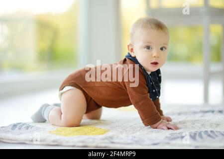 Mignon petit garçon de cinq mois qui bascule d'avant en arrière sur les mains et les genoux. Bébé au sol. Adorable petit enfant apprendre à ramper. Banque D'Images