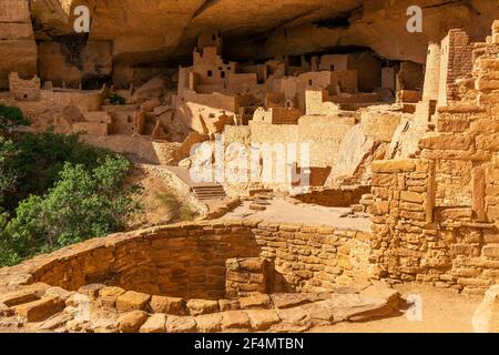 Cliff Palace Cave demeure, parc national de Mesa Verde, Colorado, États-Unis d'Amérique. Banque D'Images