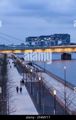 Vue depuis le boulevard du Rhin dans le quartier Deutz jusqu'au pont Deutzer et le Kranhaeuser (Crane Houses) dans le port de Rheinau, Cologne, Allemagne. Banque D'Images