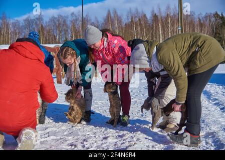 Plusieurs adolescentes se tiennent sur la neige blanche et tiennent des chats moelleux. Banque D'Images