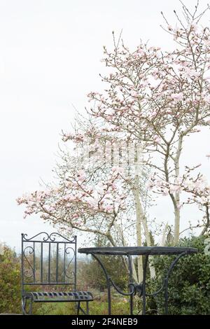 Une table extérieure en fer et des chaises à côté d'un magnolia dans un jardin. Banque D'Images