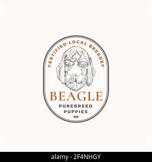 Modèle de logo ou de badge de cadre de dressage de chiens certifié. Beagle Puppy face Sketch dessiné à la main avec Typographie rétro et bordures. Emblème Premium vintage Illustration de Vecteur