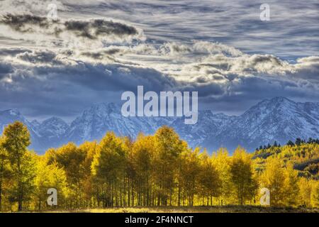 Montagnes de Grand Teton avec automne (automne) colorParc national de Grand Teton, Wyoming. ÉTATS-UNIS LA006617 Banque D'Images