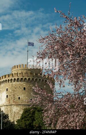 Thessalonique la Tour Blanche le jour du printemps contre un ciel bleu avec des nuages. Point de repère de la ville avec drapeau grec sur le dessus et cerisiers en fleurs. Banque D'Images