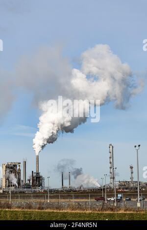 La vapeur s'élève de la raffinerie de pétrole dans le cadre du Processus de production à l'usine de March point Anacortes Banque D'Images