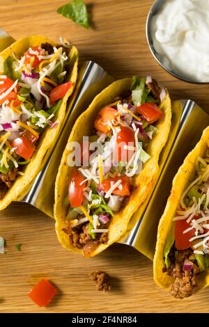 Tacos à carapace dure de bœuf haché maison avec laitue et tomates Banque D'Images