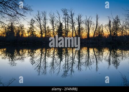 Reflet au crépuscule des arbres d'hiver dans le calme de la rivière Skagit contre la lueur finale du soleil couchant dans le Vallée de Skagit de l'État de Washington Banque D'Images