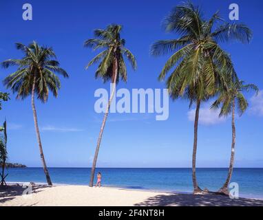 Plage tropicale avec palmiers, la baie de Grand'Anse, Grenade, Caraïbes Banque D'Images