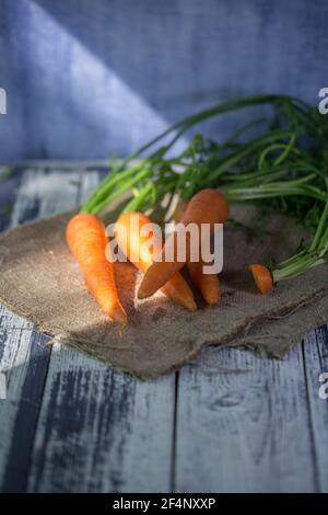 Carottes fraîches provenant du marché agricole, lumière du soleil sur bois Banque D'Images